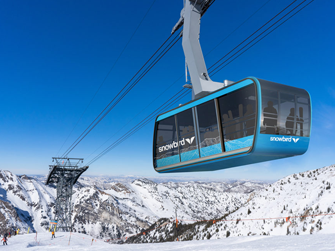 Snowbird <br> Transportation