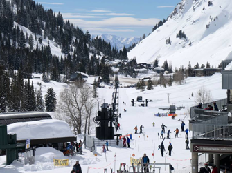 Alta Resort<br> Transportation