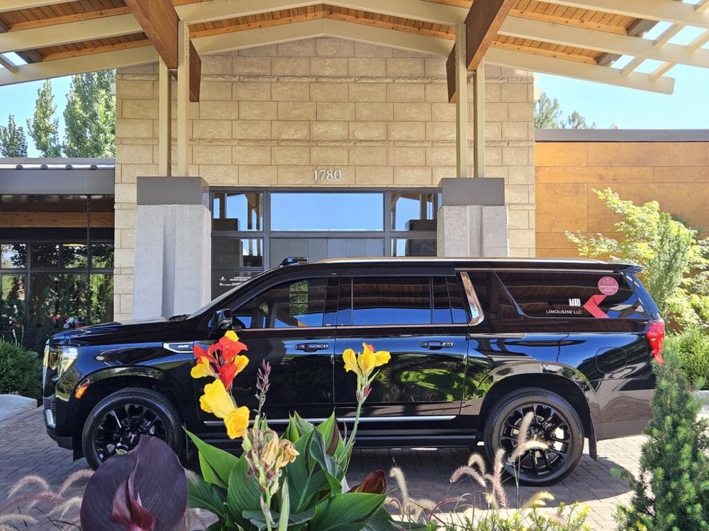 MIB Limousine Reviews